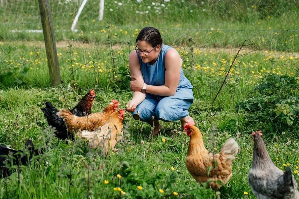 Photo of Others in Crediton