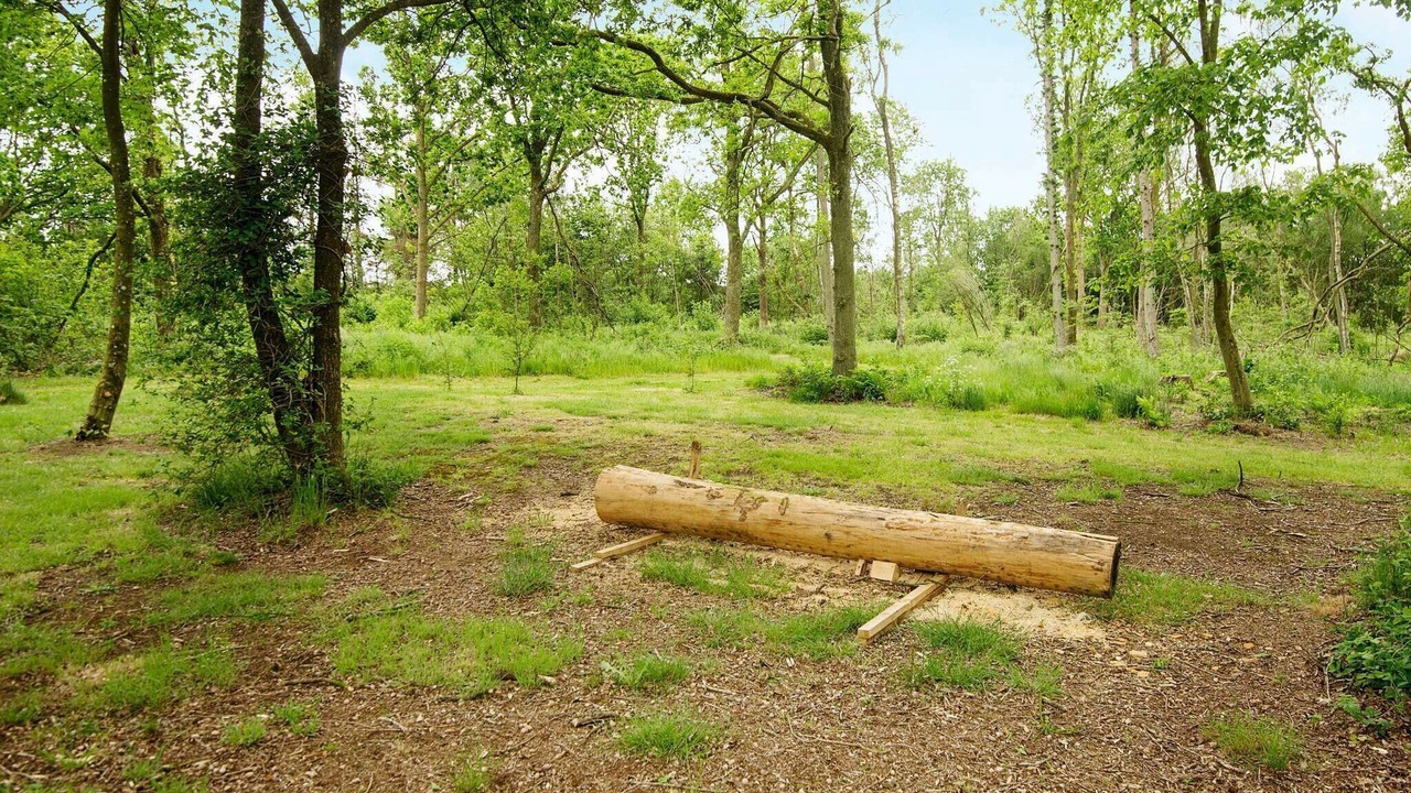 Photo of Outdoor in Skaerbaek