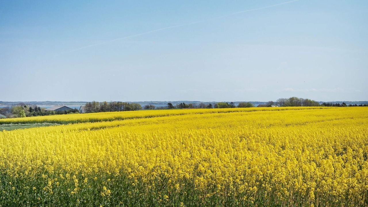Photo of Outdoor in Roslev