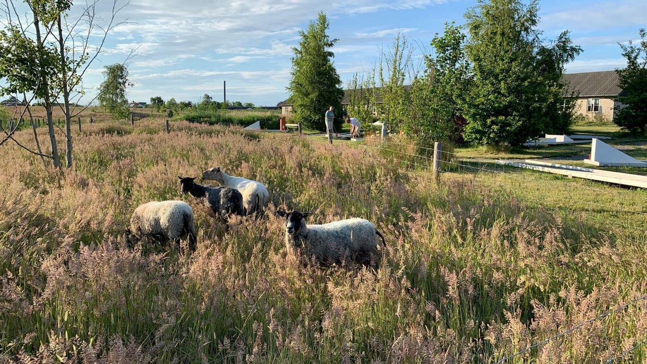 Photo of Outdoor in Ronne