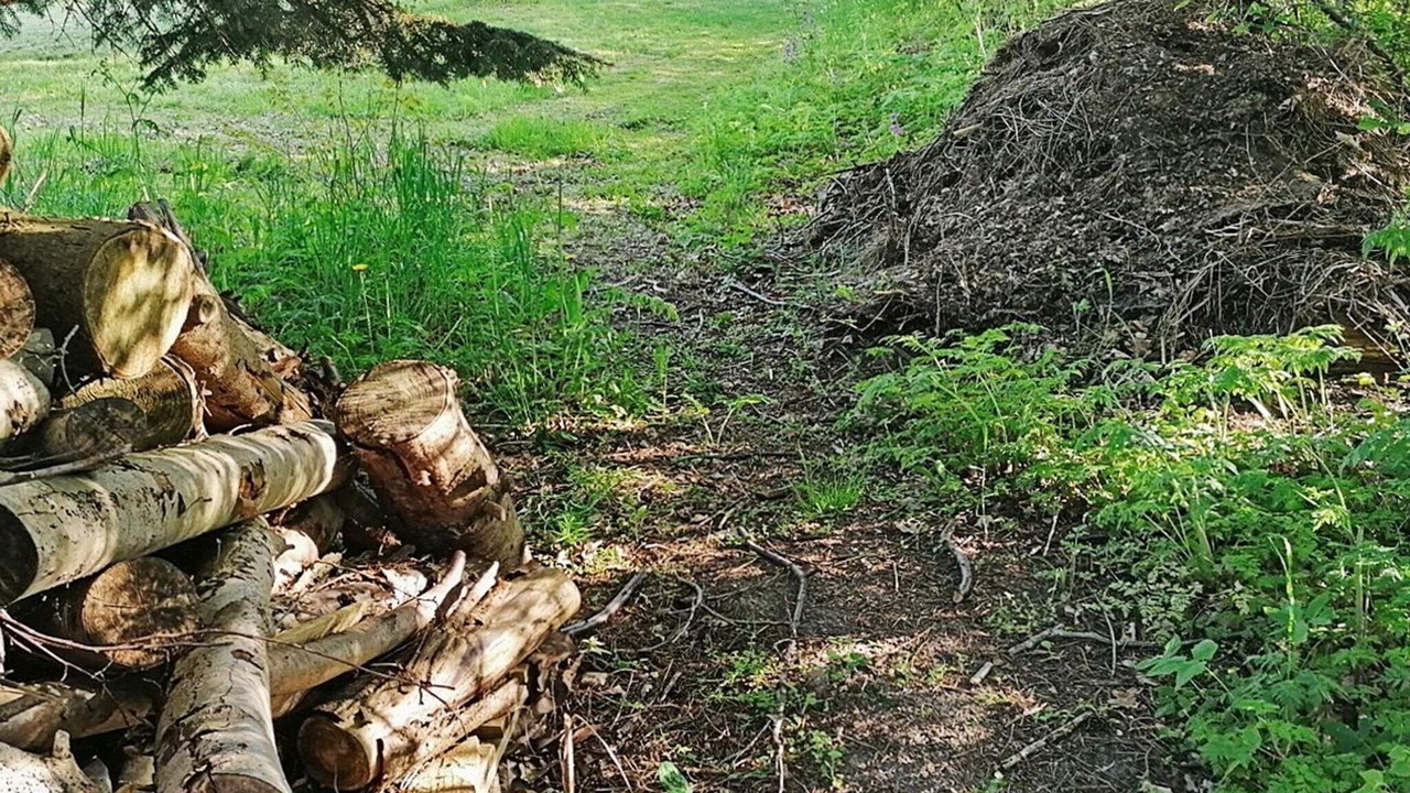Photo of Outdoor in Skaverup