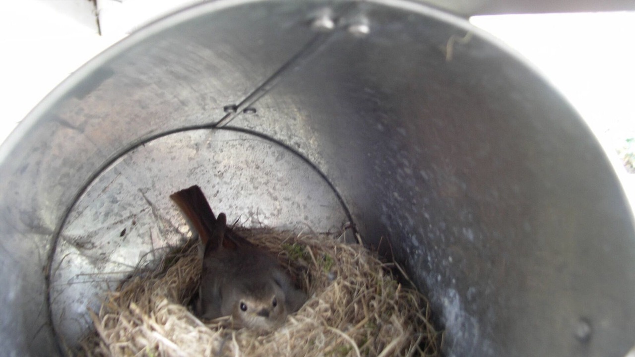 Photo of Outdoor in Saint-Pierre-du-Champ