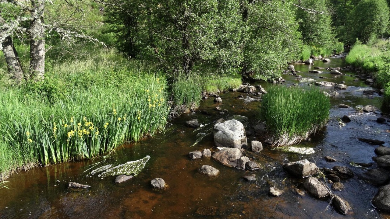 Photo of Outdoor in Saint-Pierre-du-Champ