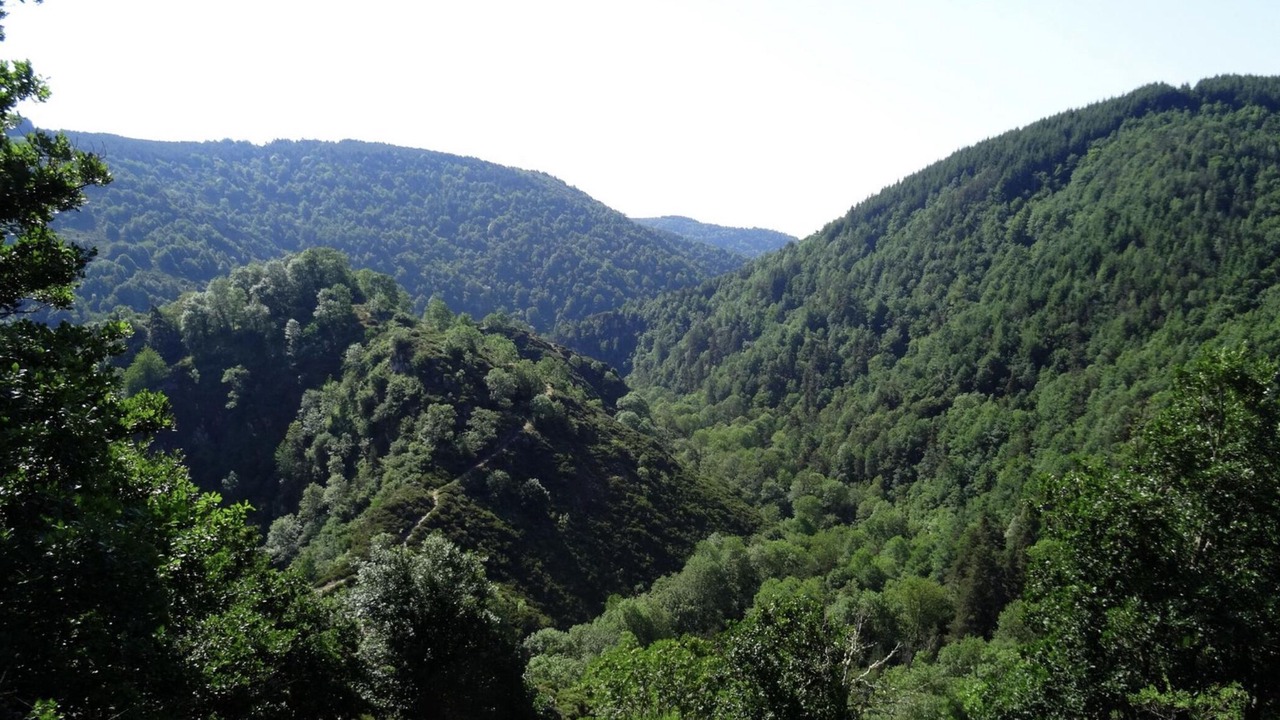 Photo of Others in Saint-Pierre-du-Champ