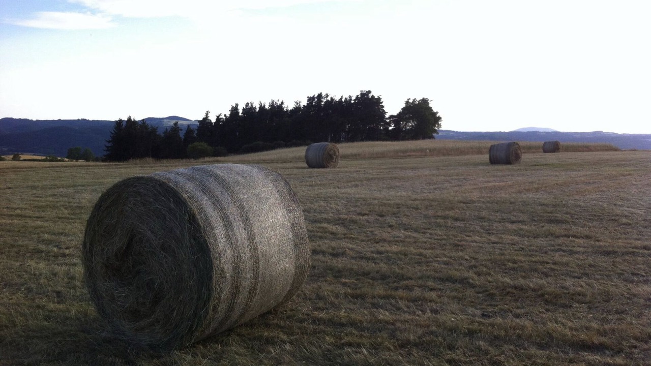 Photo of Others in Saint-Pierre-du-Champ