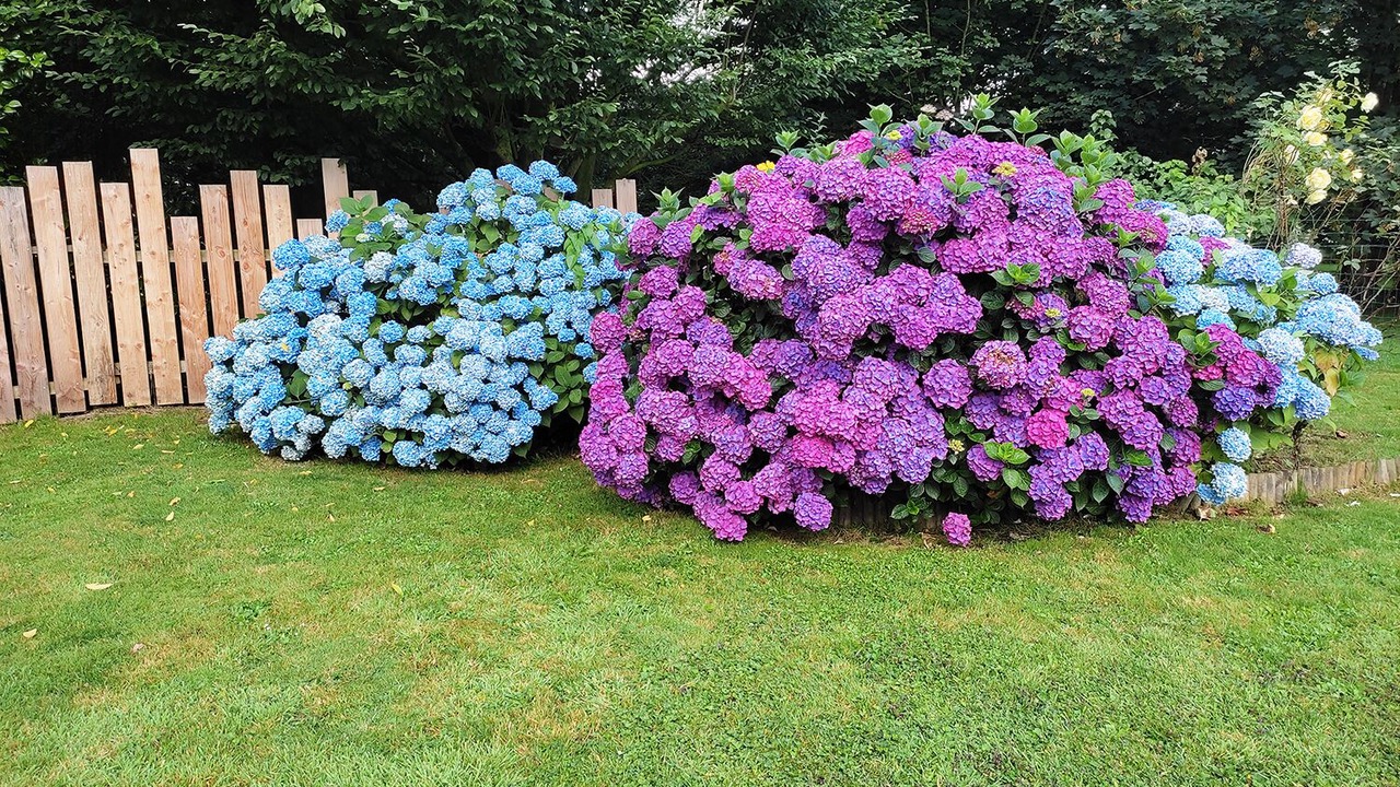 Photo of Outdoor in Saint-Derrien