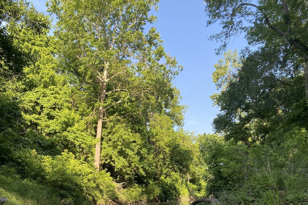 Photo of Others in Cedar Creek