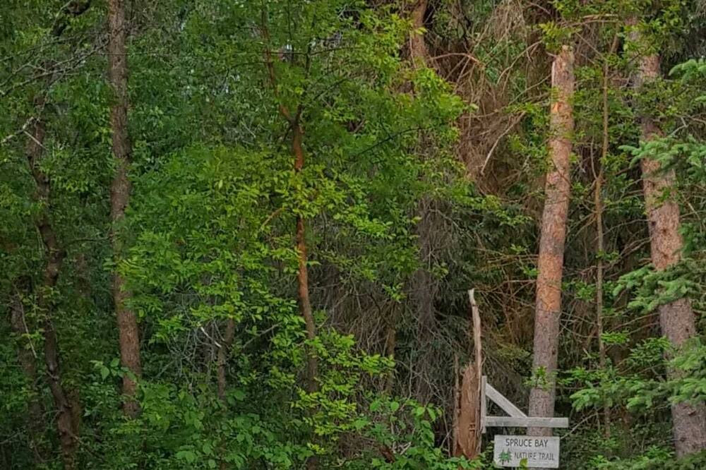 Photo of Outdoor in Arnes