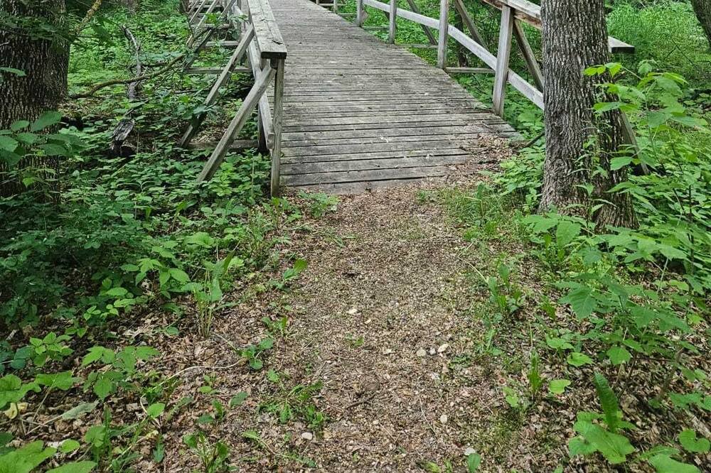 Photo of Outdoor in Arnes