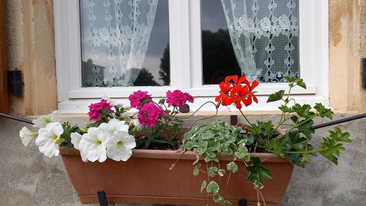 Photo of Outdoor in Lancie