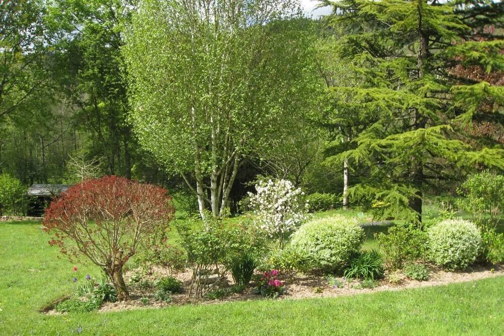 Photo of Outdoor in Chenelette