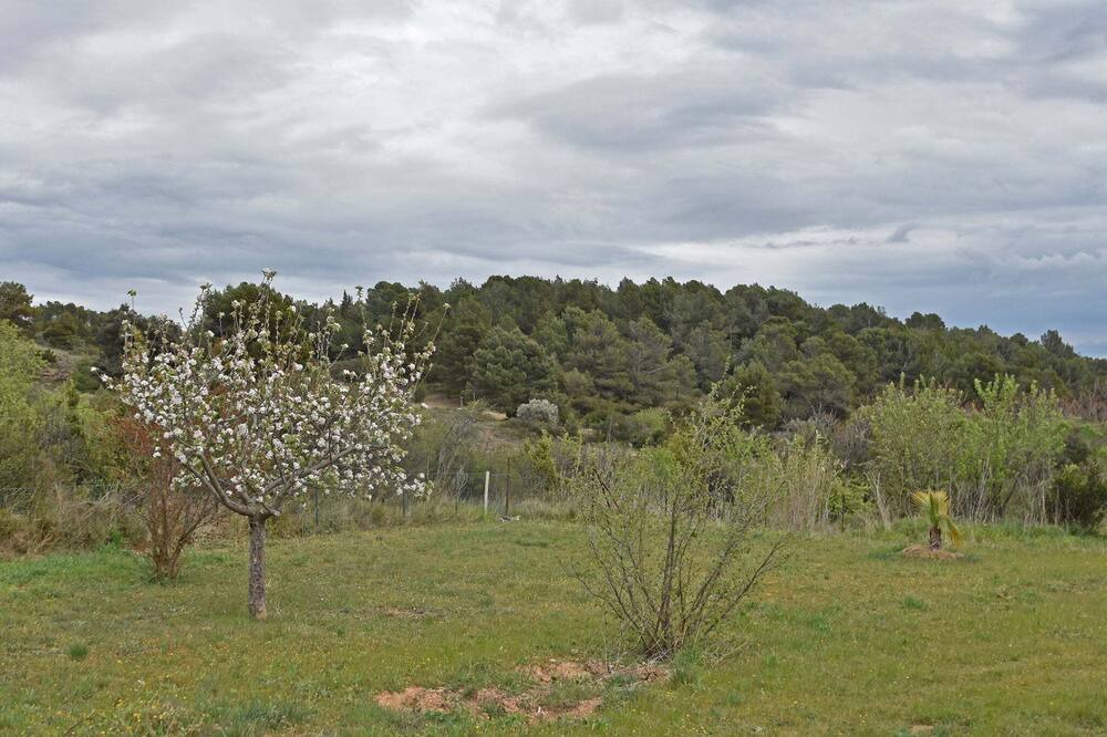 Photo of Outdoor in Lezignan-Corbieres