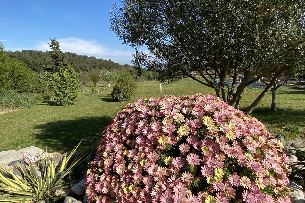 Photo of Outdoor in Lezignan-Corbieres