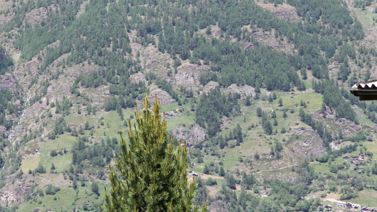 Photo of Outdoor in St. Niklaus