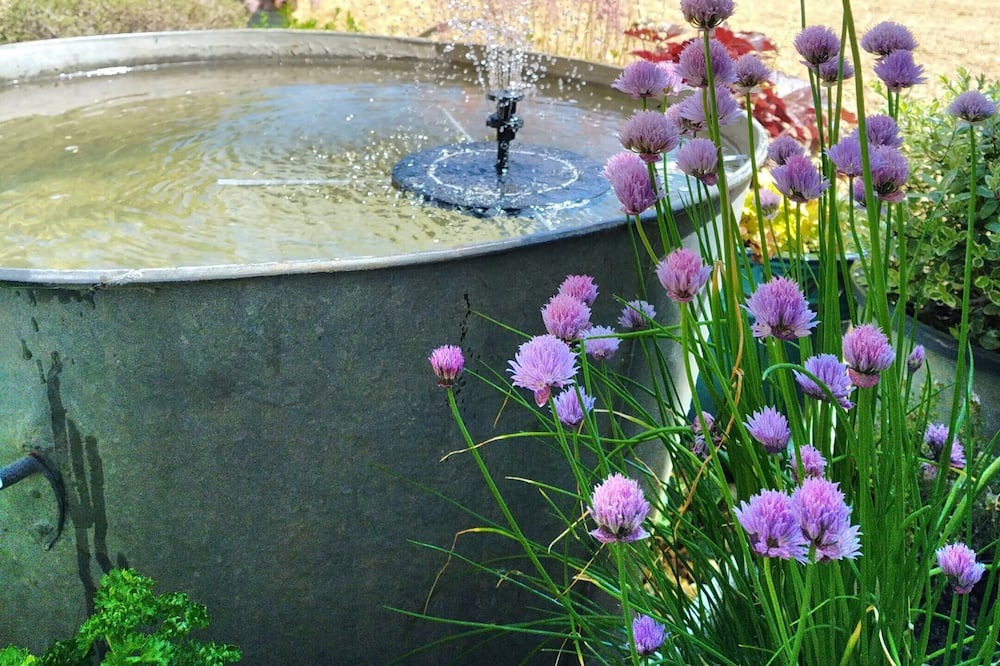 Photo of Outdoor in Ige