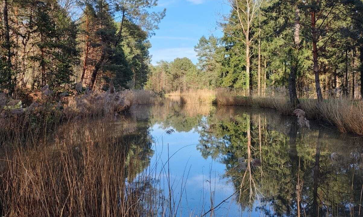 Photo of Outdoor in Vierzon