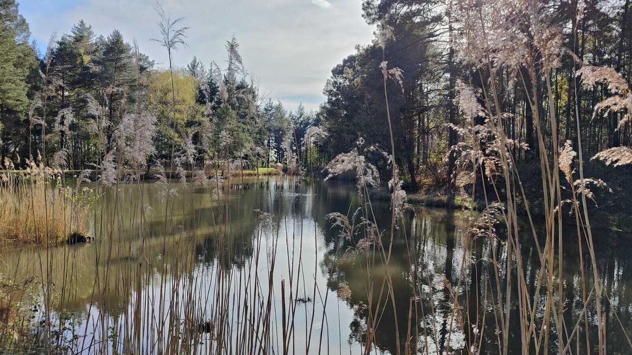 Photo of Outdoor in Vierzon