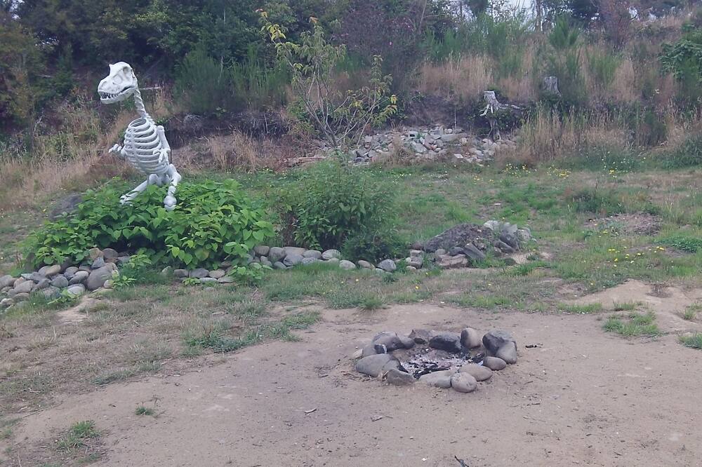 Photo of Outdoor in Cohassett Beach