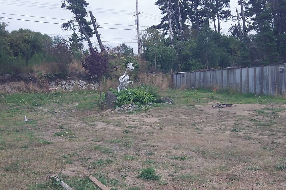 Photo of Outdoor in Cohassett Beach