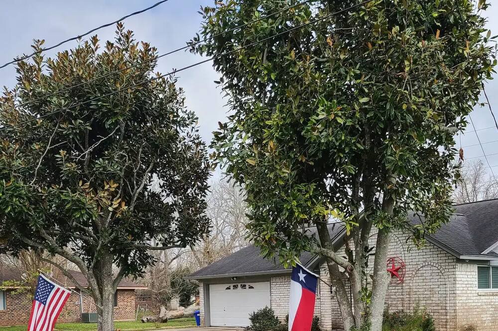 Photo of Outdoor in Lake Jackson