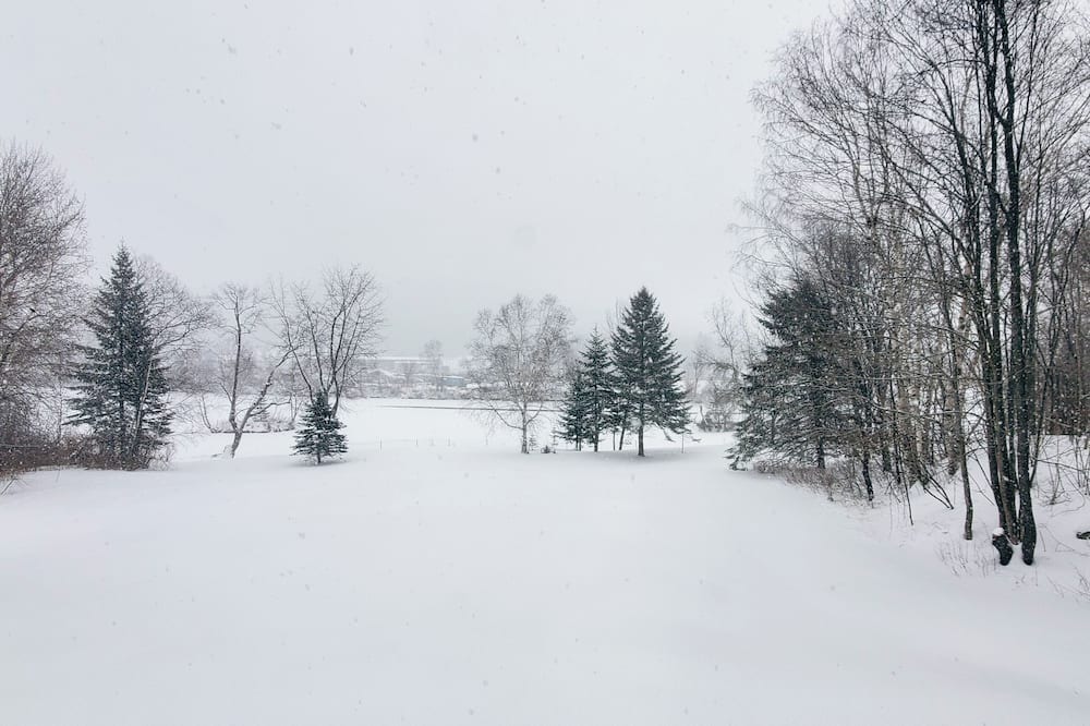 Photo of Others in Berlin