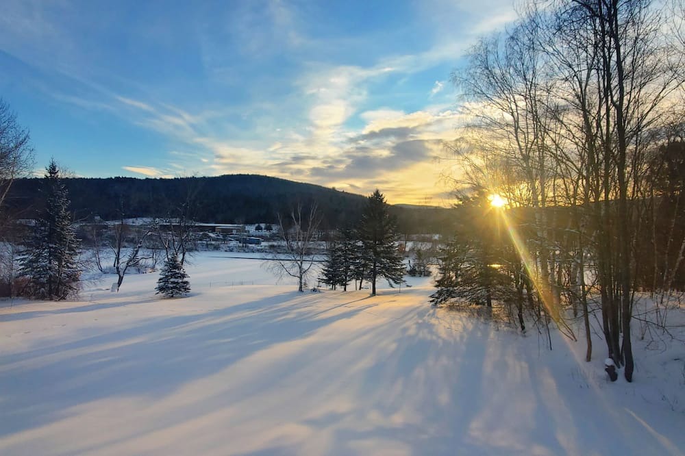 Photo of Others in Berlin
