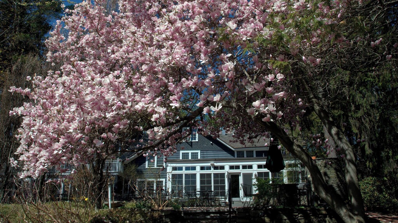 Photo of Others in Milton