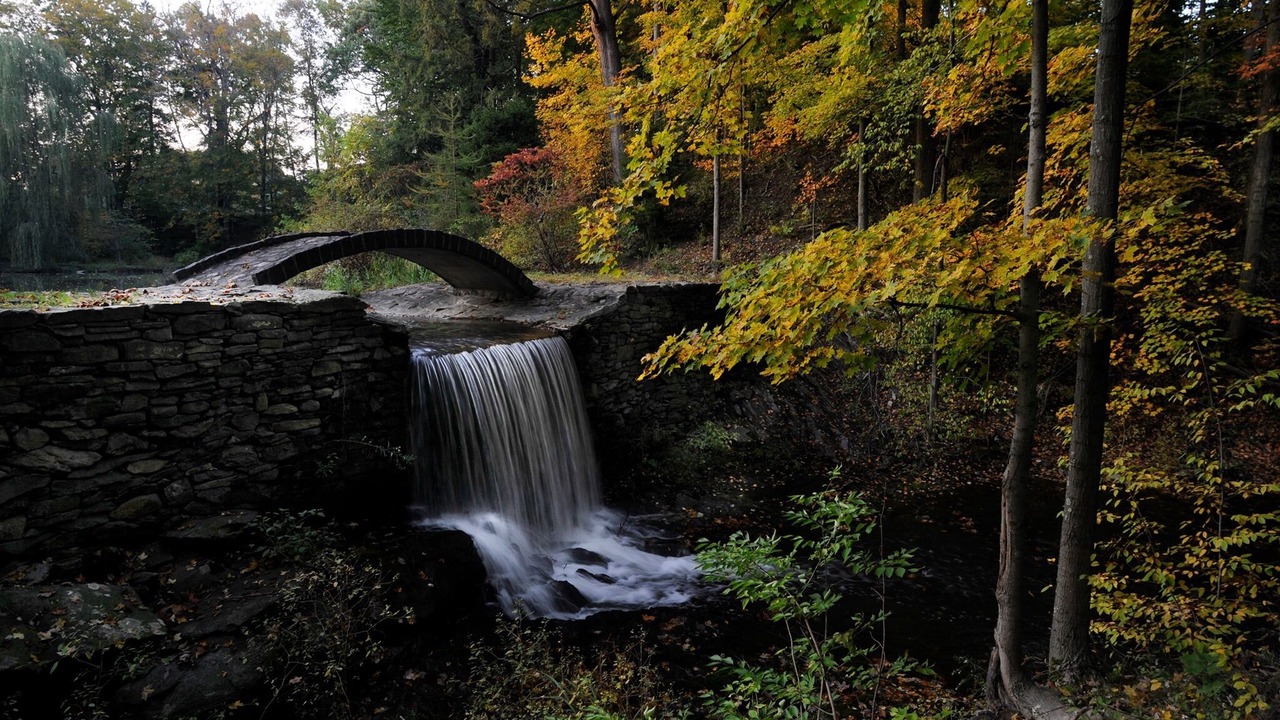 Photo of Others in Milton