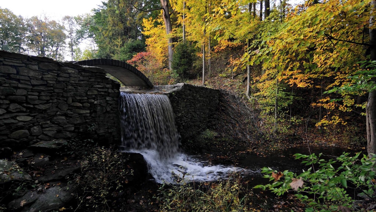 Photo of Others in Milton