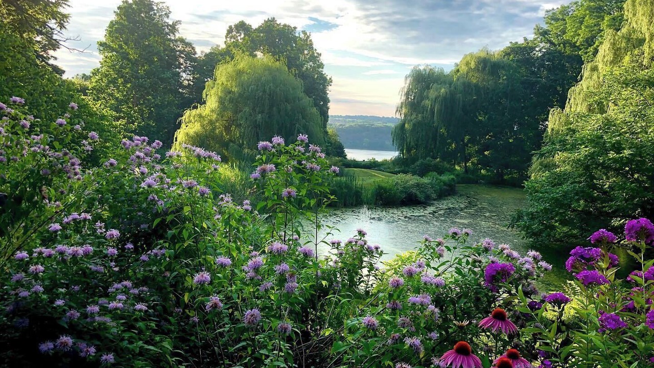 Photo of Others in Milton