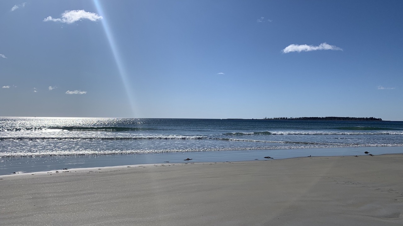 Photo of Others in Brooklyn