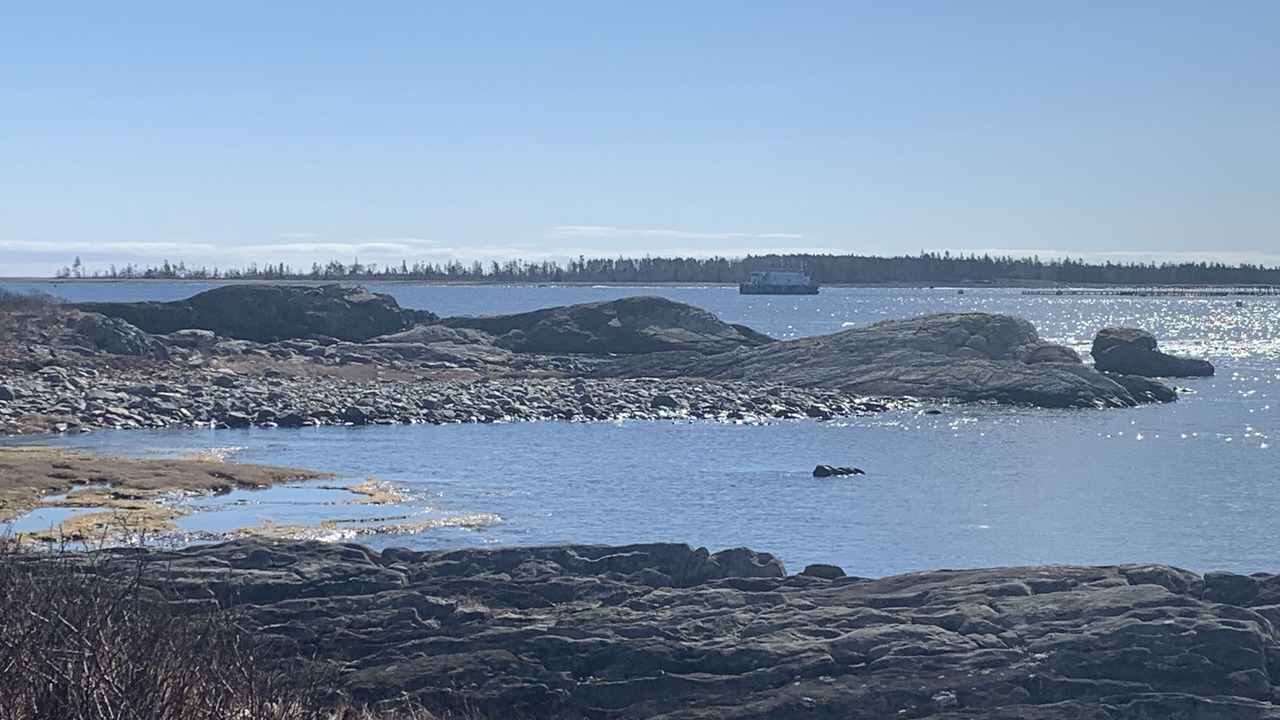 Photo of Others in Brooklyn
