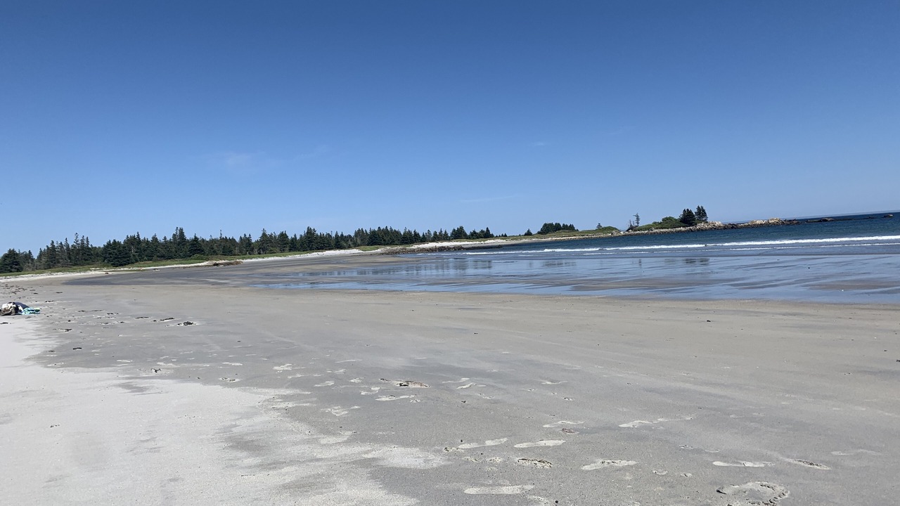 Photo of Others in Brooklyn