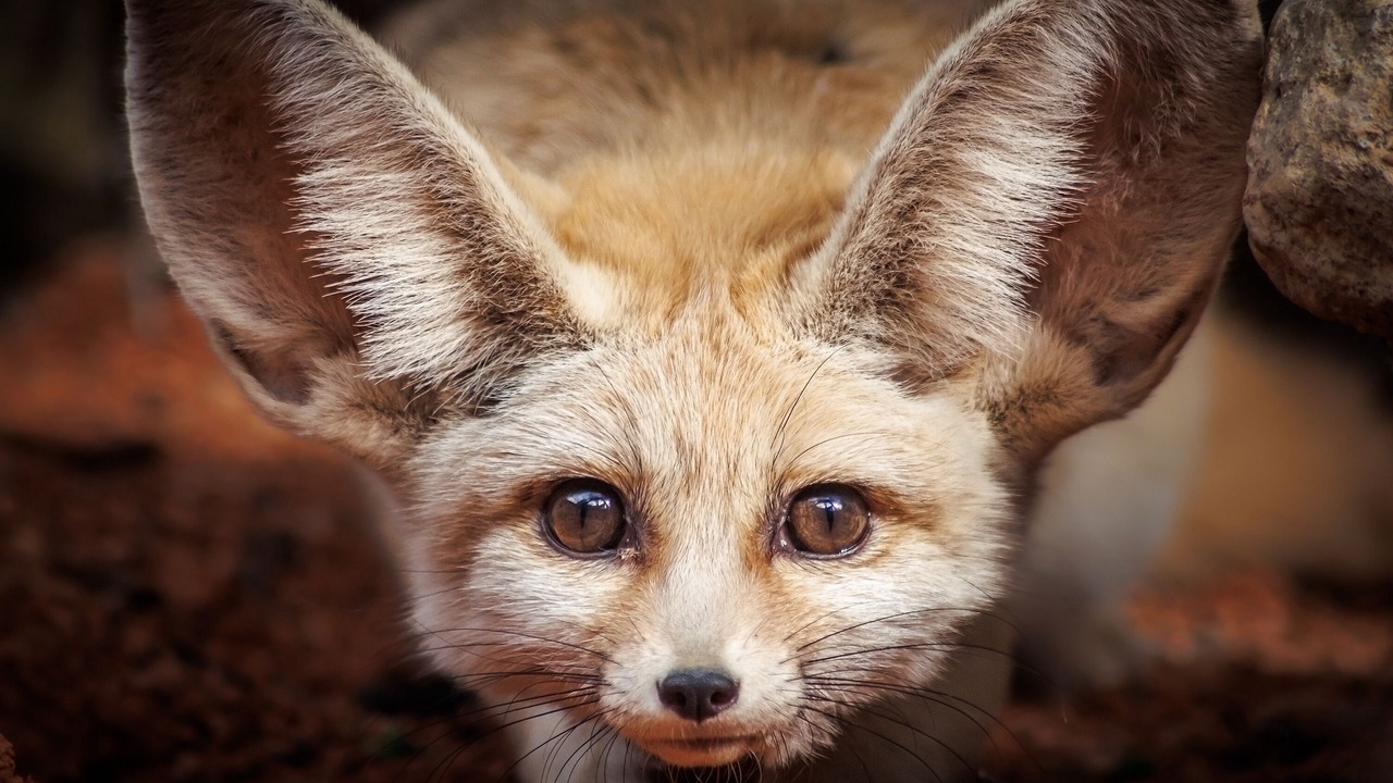 Photo of Outdoor in Ayzac-Ost