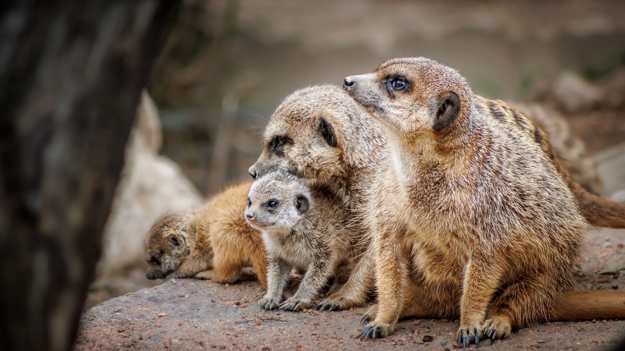 Photo of Outdoor in Ayzac-Ost