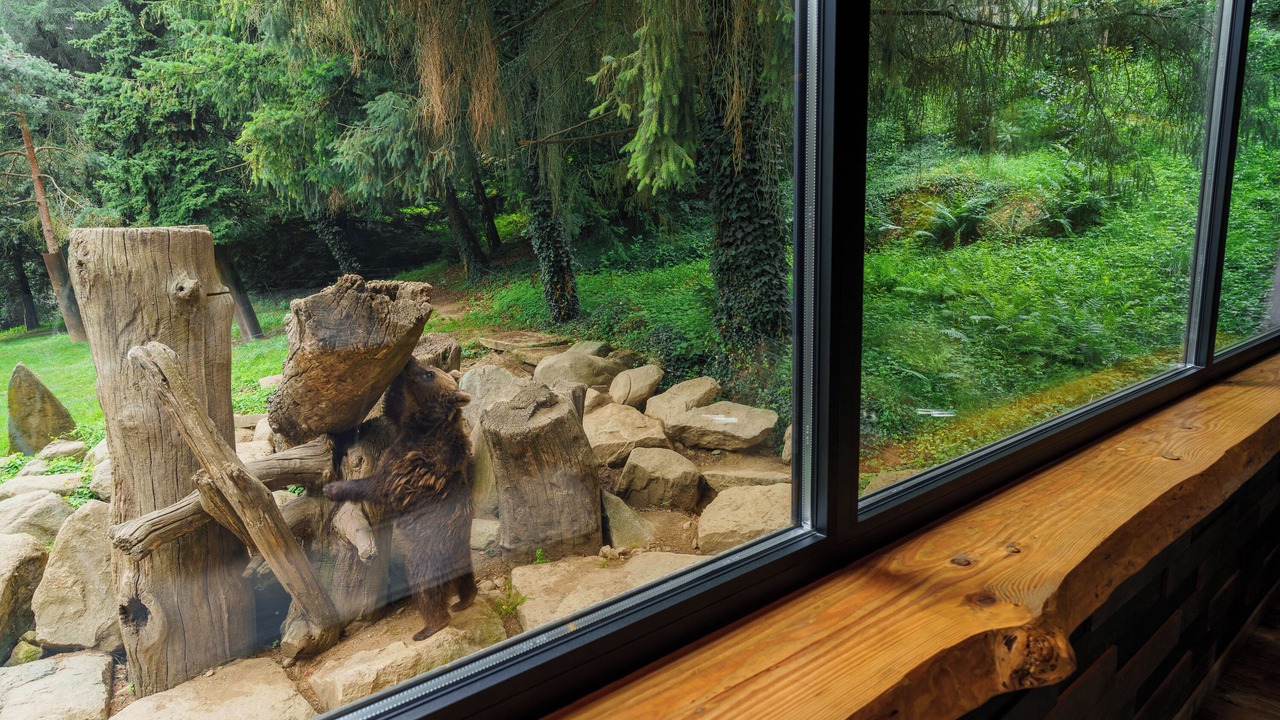 Photo of Outdoor in Ayzac-Ost