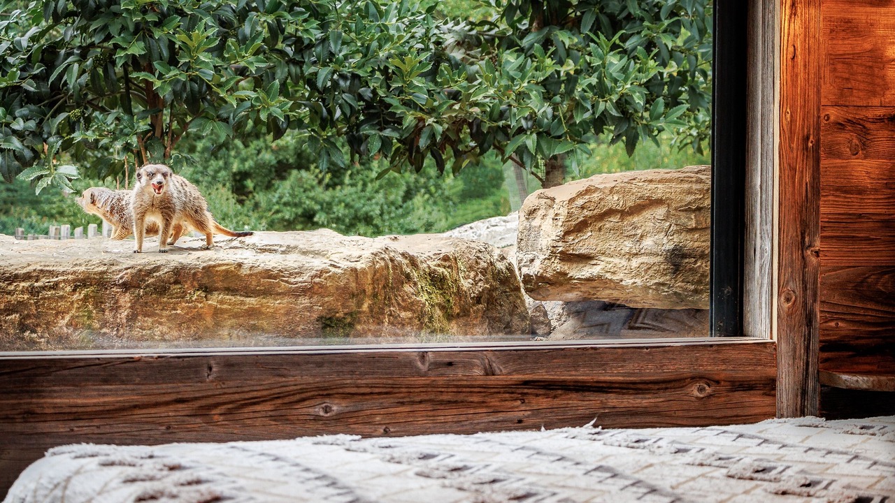 Photo of Others in Ayzac-Ost