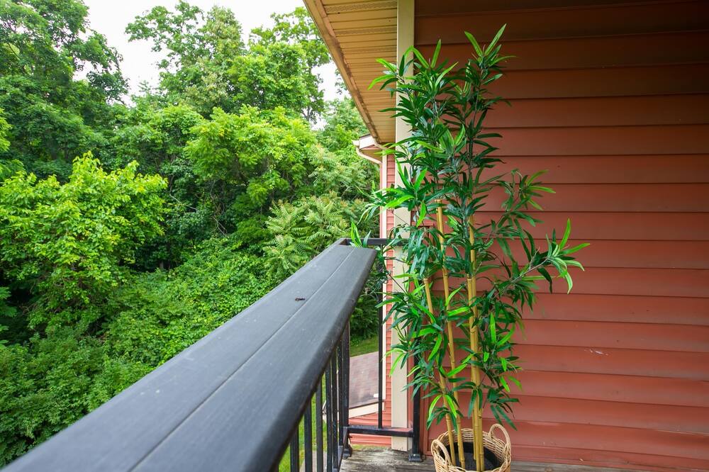 Photo of Outdoor in Parkdale