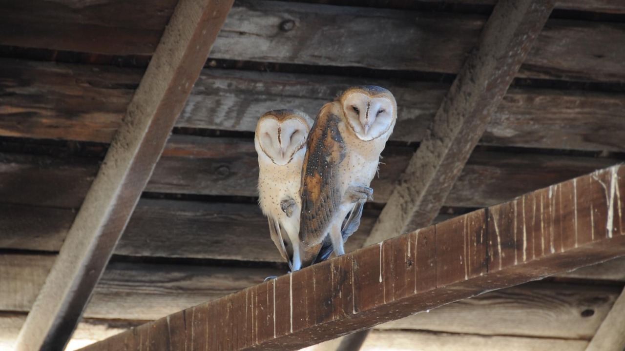 Photo of Outdoor in Santa Rosa