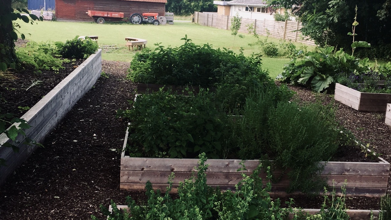 Photo of Outdoor in Tranebjerg