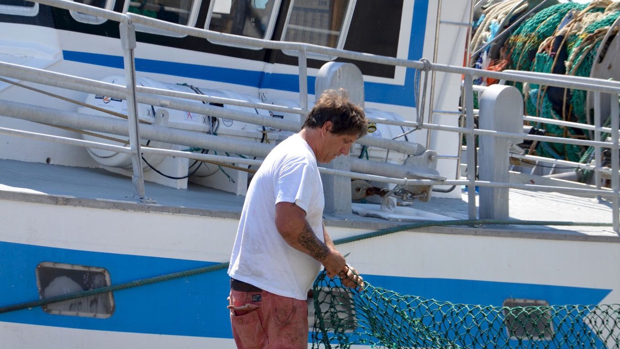Photo of Others in Trouville-sur-Mer
