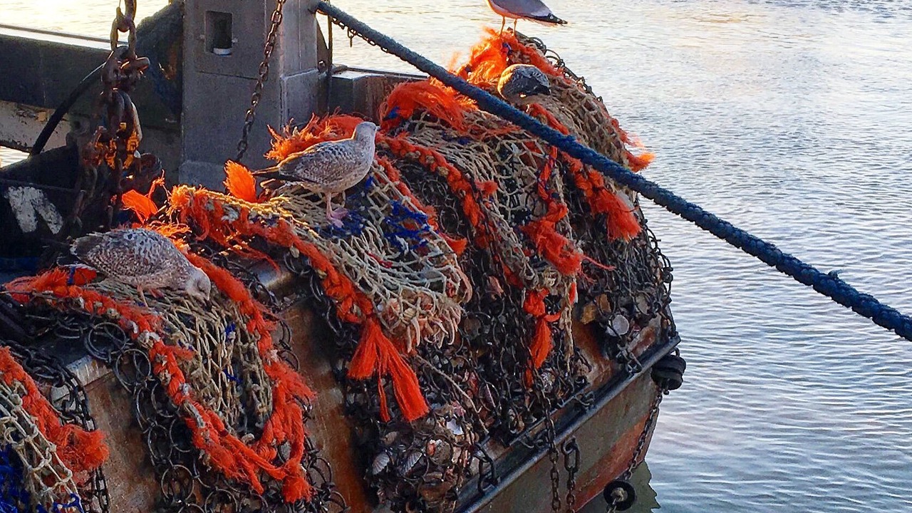Photo of Others in Trouville-sur-Mer