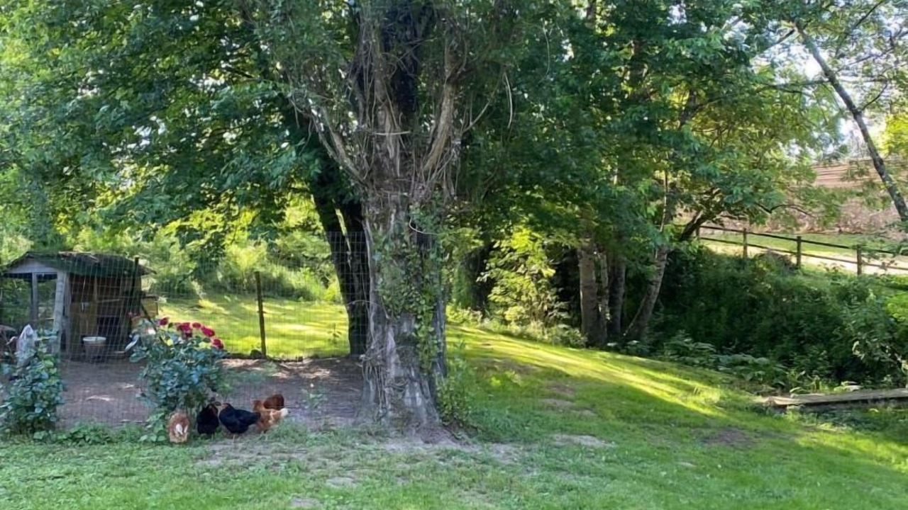 Photo of Outdoor in Vienne