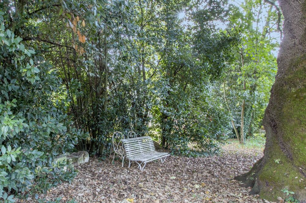 Photo of Outdoor in Fontenay-le-Comte