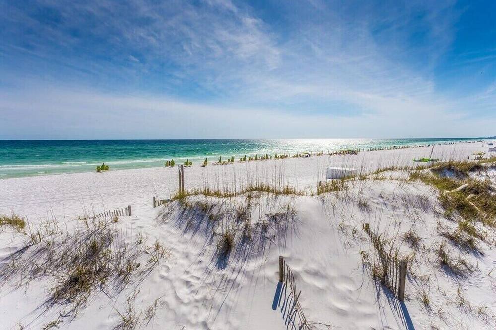 Photo of Others in Gulf Pines