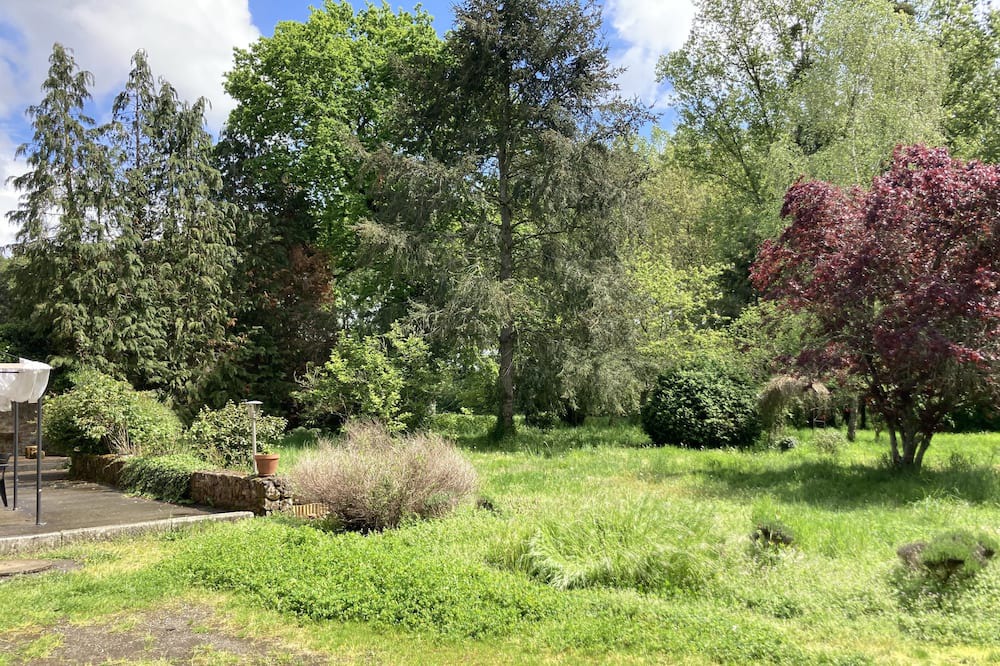 Photo of Outdoor in Saint-Remy-du-Plein