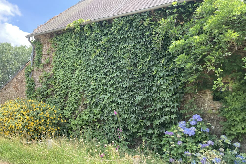 Photo of Outdoor in Saint-Remy-du-Plein