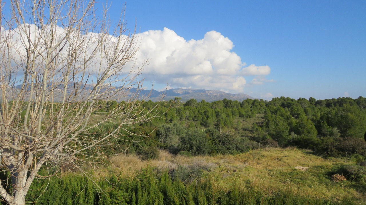 Photo of Others in Les Tres Cales