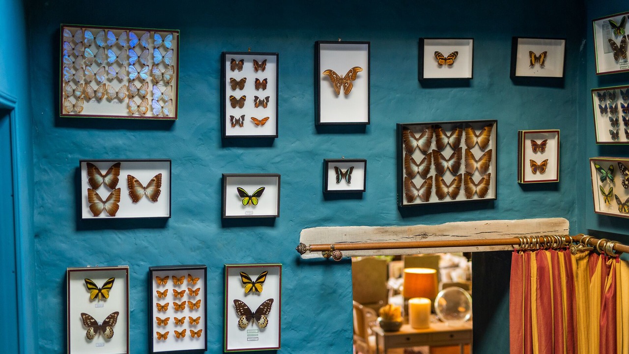 Photo of Others in Huismes