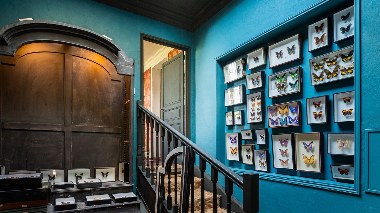 Photo of Others in Huismes